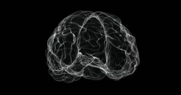 Hologram representatiescherm 3d van hersenen in het menselijk lichaam - lus - Video