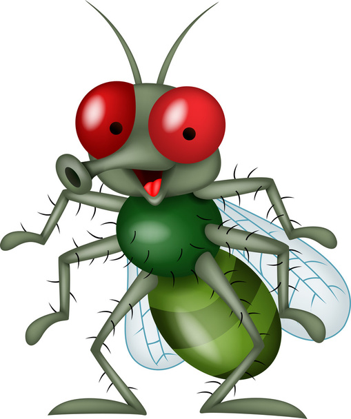 Caricatura de mosca
 - Vector, Imagen
