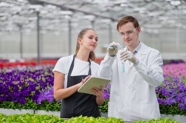 Two scientists agronomist breeder, a man and a woman, take samples in the greenhouse. - Fotoğraf, Görsel