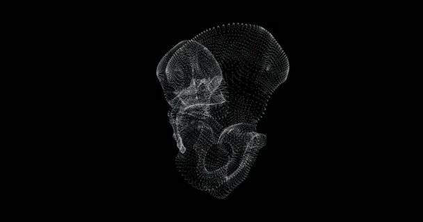 Tela de representação 3d do osso da pelve no corpo humano
 - Filmagem, Vídeo