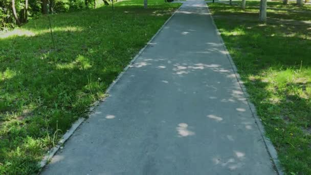Pavimentación de losas en el parque de la ciudad
. - Metraje, vídeo