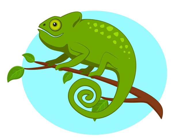 Chameleon sitting on a tree branch. - Vector, Image