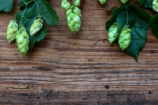 Ripe cones of hops lie on a wooden table - Zdjęcie, obraz