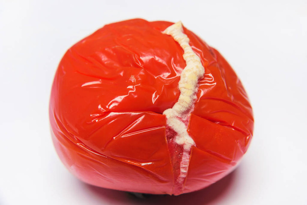 Spoiled vegetable. Red tomato with mold. Mold on food. The damaged surface of the tomato. - Photo, Image