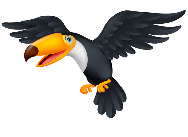Cute toucan bird cartoon - Vector, Image