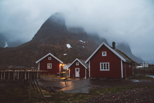 Norveç evleri ve dağları fiyort üzerindeki kayalar İskandinav seyahat manzarası Lofoten adaları - Fotoğraf, Görsel