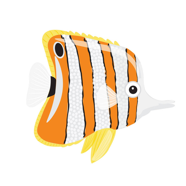 Butterfly fish isolated on white background. Bright beautiful tropical fish. Cartoon. Aquarium fish. - Vecteur, image