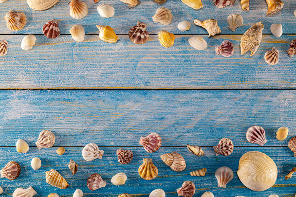 Summer time concept with sea shells on a blue wooden background  - Zdjęcie, obraz