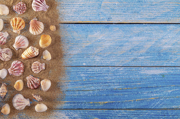 Concepto de hora de verano con conchas marinas sobre un fondo de madera azul  - Foto, Imagen
