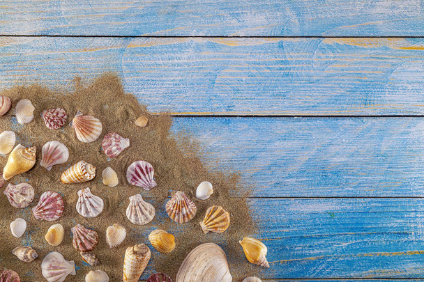 Summer time concept with sea shells on a blue wooden background  - Photo, image