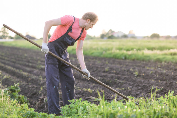 Male farmer  with a hoe weeding in the field on sunset - Photo, Image