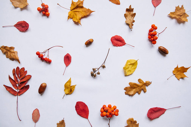 Composición abstracta de otoño
. - Foto, Imagen