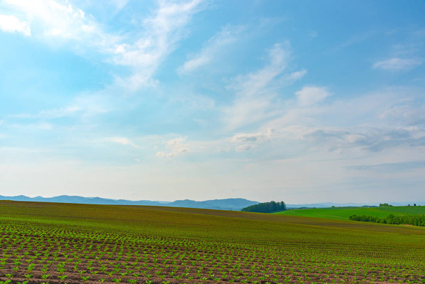 Panoramic rural landscape with mountains. Vast blue sky and white clouds over farmland field in a beautiful sunny day in springtime. - Photo, Image