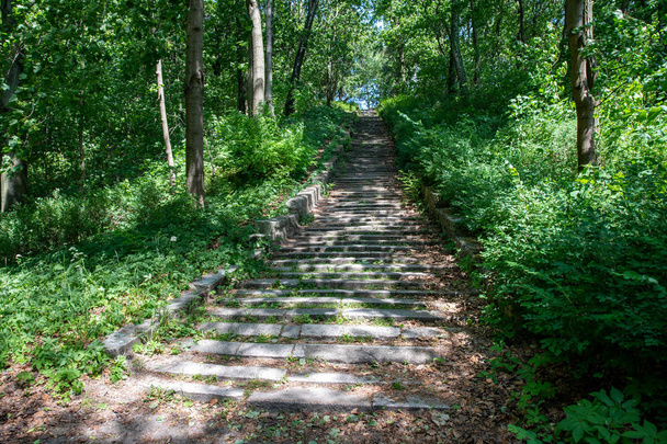 Kivi vanha laiminlyöty portaat metsässä. Vanha polku kaupungissa p
 - Valokuva, kuva