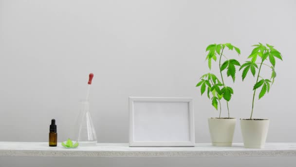 Modern room decoration with Picture frame mockup. White shelf against wall with hand putting down glass dropper bottle with CBD oil. There is potted marijuana plant. CBD health concept. - Footage, Video