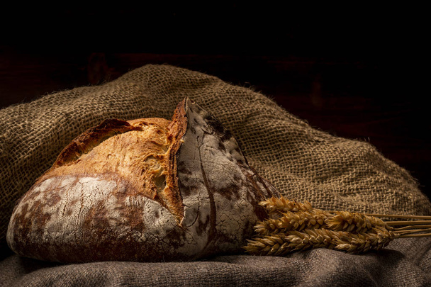 Golden crispy loaf of bread - Фото, изображение