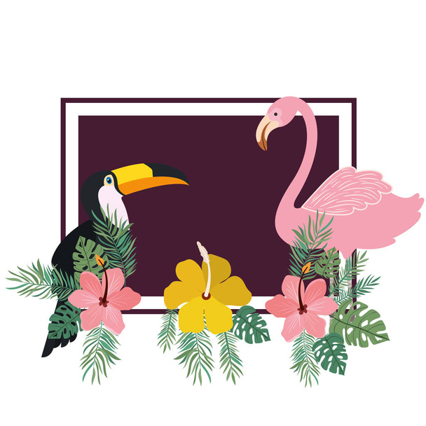 узор из тукана и фламандского с летними цветами
 - Вектор,изображение
