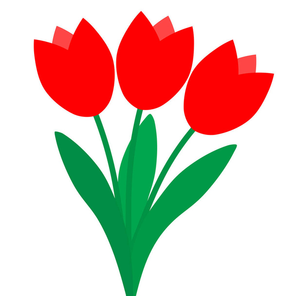 Három piros tulipán elszigetelt fehér háttér - Vektor, kép