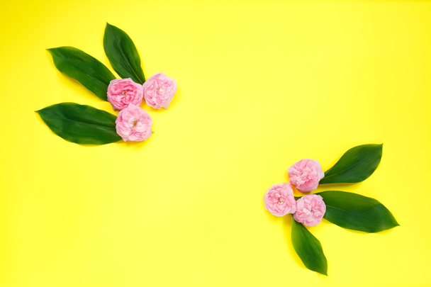 Colourful bright floral composition. Frame made of pink rose flowers and leafs on yellow background. Flat lay, top view, copy space. - Photo, Image