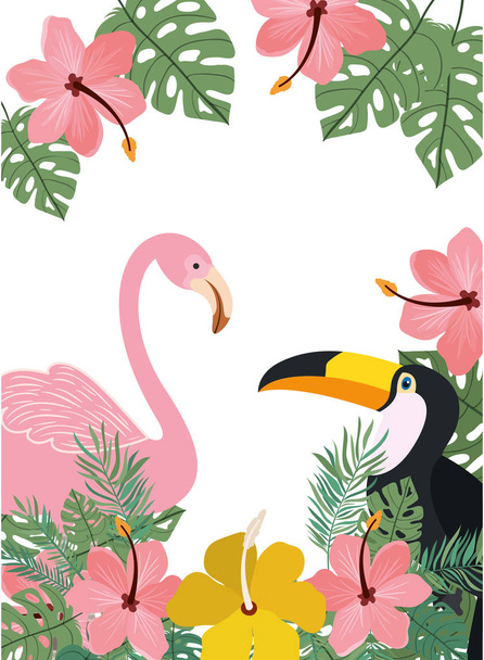 pattern of tucan and flemish with summer flowers - Vector, Image