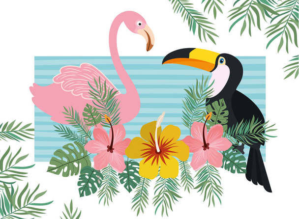 pattern of tucan and flemish with summer flowers - Vector, Image