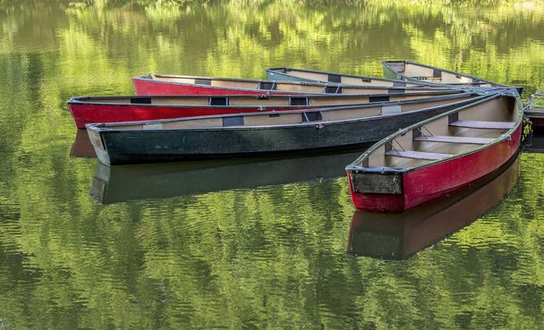 Red and green boats in green water tethered to a dock  - Photo, Image