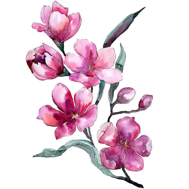 Purpurové květinové botanické květiny. Vodný obrázek pozadí-barevný. Izolované kytice, ilustrace prvku. - Fotografie, Obrázek