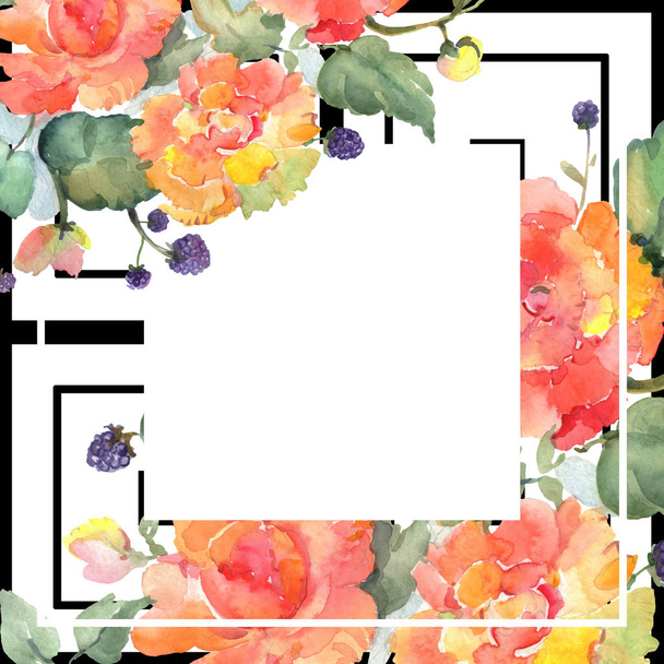 Помаранчевий трояндовий букет квіткових ботанічних квітів. Набір ілюстрацій для акварельного фону. Каркасна площа прикордонного орнаменту
. - Фото, зображення