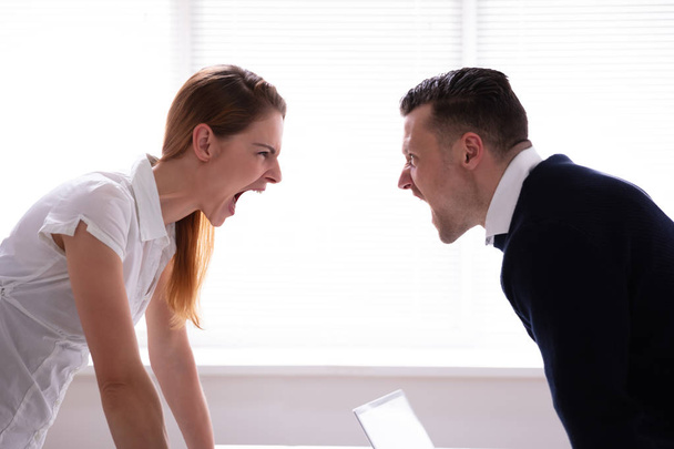 Side View Of Two Businesspeople Shouting At Each Other In Office - Fotografie, Obrázek