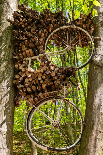 Bicicletta antica appesa ad un albero
  - Foto, immagini