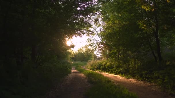 Sonnenuntergang Land abseits der Straße mit schönen Abendsonnenstrahlen, grüne Laubbäume ringsum - die Natur ist ein großartiger Ort zum Entspannen im Hintergrund - Filmmaterial, Video