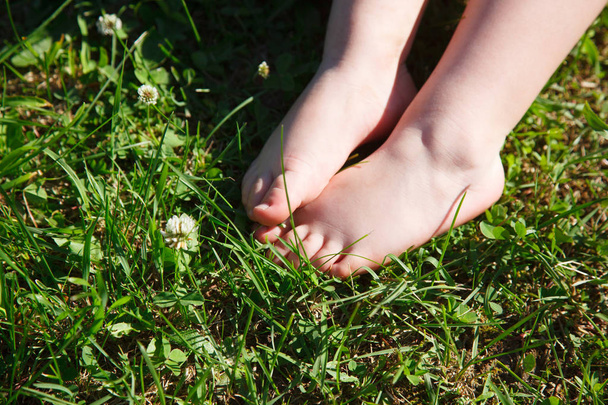 baby feet in the grass - 写真・画像