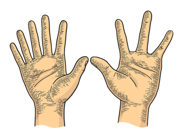 Les mains inhabituelles avec six et quatre doigts croquis couleur gravure vectorielle illustration. Imitation de style scratch board. Image dessinée à la main noir et blanc
. - Vecteur, image