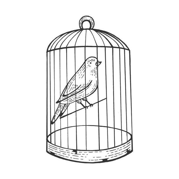 Canary bird in cage with open door engraving vector illustration. Scratch board style imitation. Hand drawn image. - Vector, Imagen