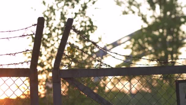 Ostnatým kovovým plotem v večerní zlaté hodině západ slunce-znak nebezpečné klece a bez svobody - Záběry, video