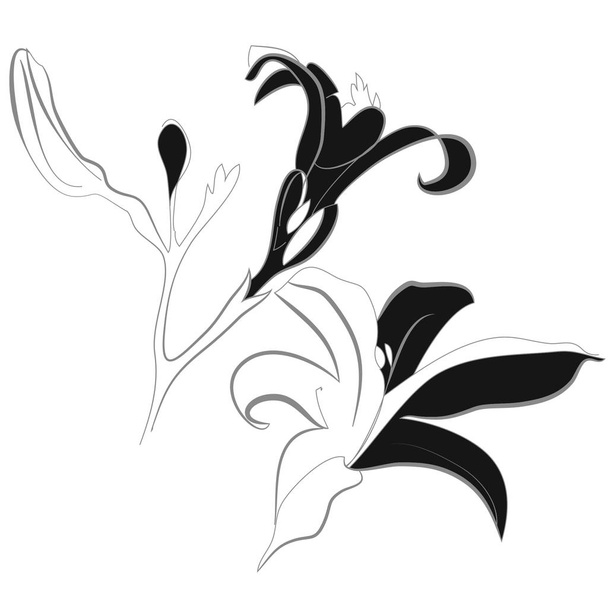 абстрактний простий квітковий візерунок з простором для копіювання
 - Вектор, зображення