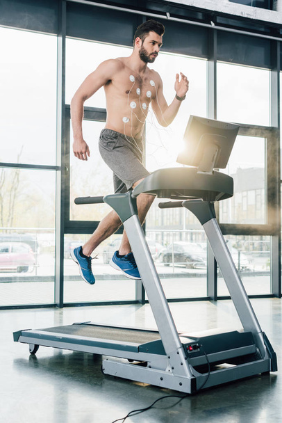 красивый мускулистый спортсмен с электродами, работающими на беговой дорожке во время теста на выносливость в спортзале
 - Фото, изображение