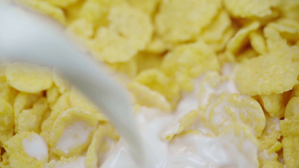 rack focus of milk pouring into crispy and tasty cornflakes  - Video, Çekim