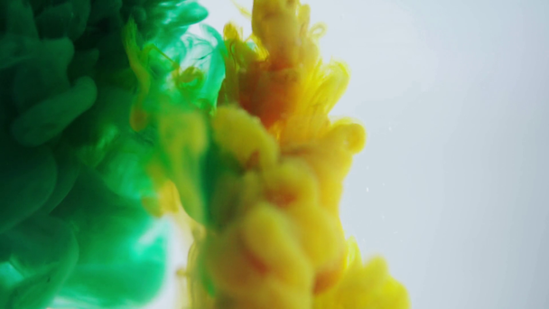 abstrakcyjnych zielonych i żółtych chmur z dymem na białym  - Materiał filmowy, wideo