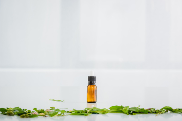 botella de vidrio con aceite de cáñamo cerca de hojas verdes en fondo blanco molido con espacio de copia
 - Foto, imagen