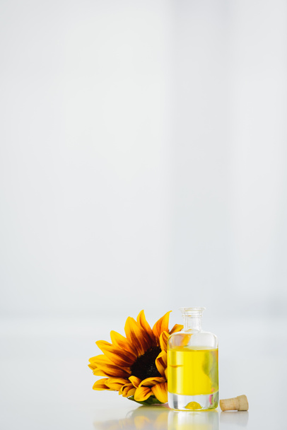 sunflower near glass bottle with sunflower oil on white background with copy space - Photo, Image