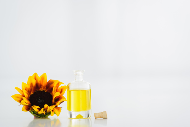 glass bottle with essential oil near yellow sunflower on white background with copy space - Фото, зображення