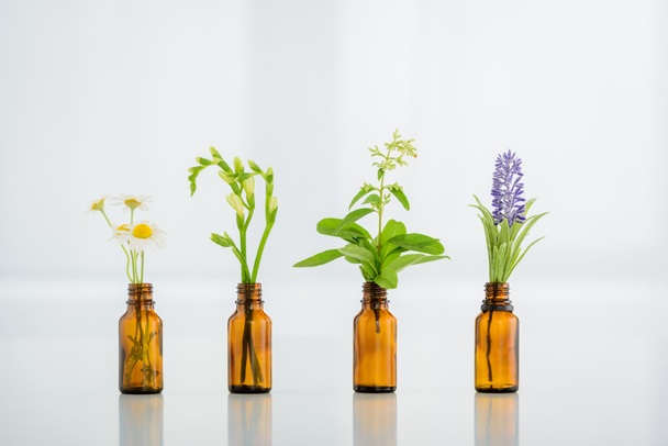 chamomile, freesia, salvia and hyacinth flowers in glass bottles on white background - Photo, Image