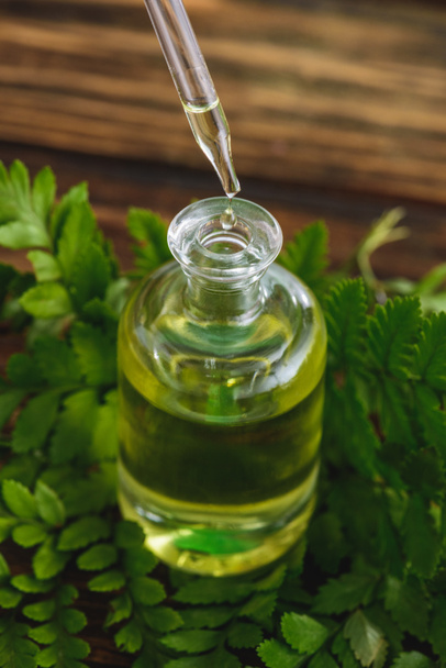 bottle with essential oil, dropper and fern leaves on wooden surface - 写真・画像