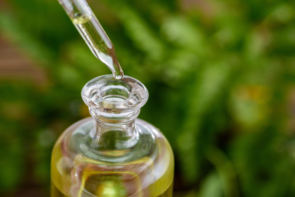 conta-gotas e garrafa de vidro com óleo essencial sobre fundo verde
 - Foto, Imagem
