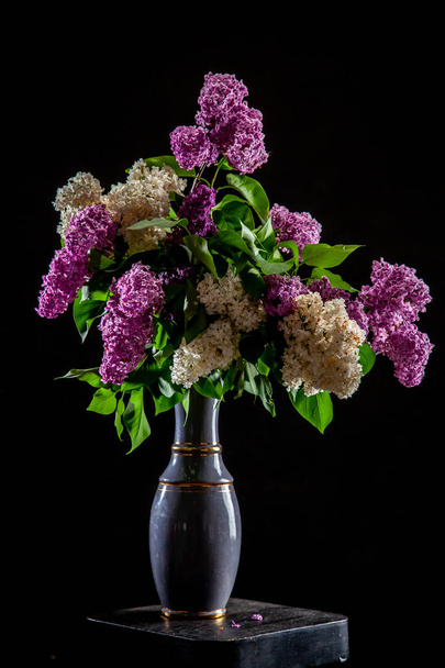 Lilac in vase on the black background - Photo, Image