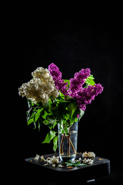 Lilac w wazonie na czarnym tle - Zdjęcie, obraz