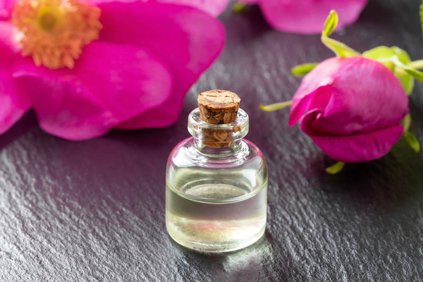 Een fles etherische olie met verse rugosa rozen - Foto, afbeelding