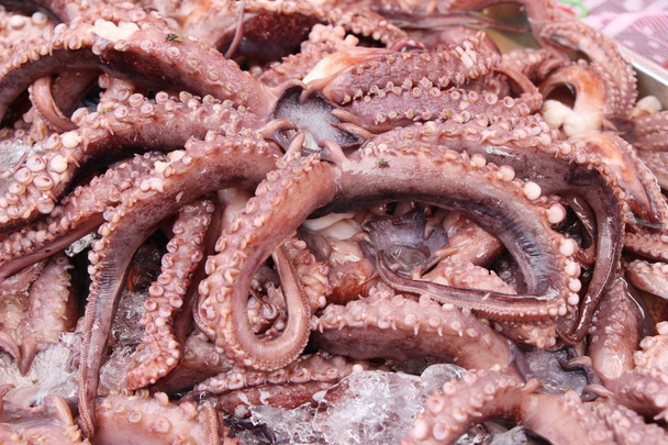 Fresh squid for cooking at street food - Photo, Image