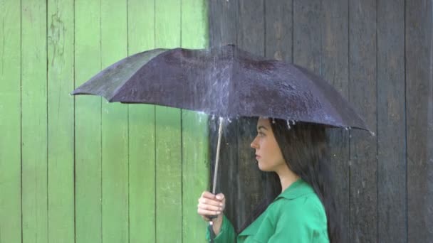 Βαριά βροχή χύνεται σε κορίτσι προστατευμένο κάτω από ομπρέλα. Κορίτσι στο προφίλ είναι κάτω από την ομπρέλα, έντονη βροχή εντείνεται και χύνεται βαριά. Κορίτσι σε έγχρωμο φόντο κοιτάζει προς την άλλη πλευρά με ένα χαμόγελο. - Πλάνα, βίντεο